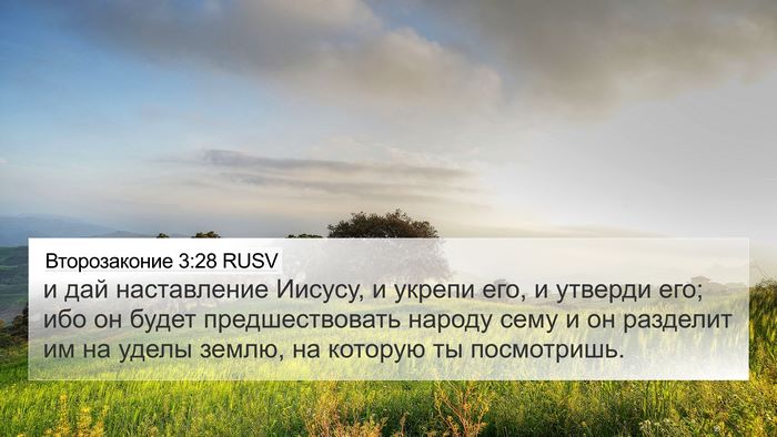 Второзаконие 3:28 RUSV Bible Verse Image