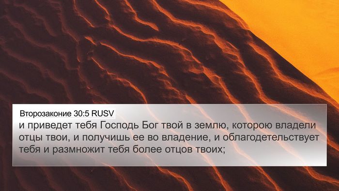 Второзаконие 30:5 RUSV 4K Wallpaper - и приведет тебя Господь - 4K Wallpaper Bible Verse