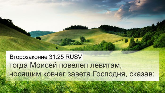 Второзаконие 31:25 RUSV Bible Verse Image