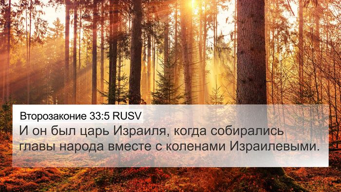Второзаконие 33:5 RUSV Bible Verse Image
