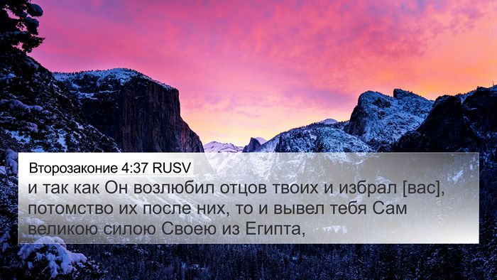 Второзаконие 4:37 RUSV Bible Verse Image
