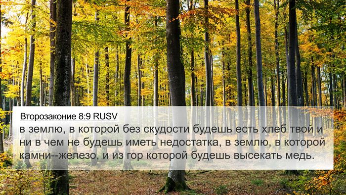 Второзаконие 8:9 RUSV Bible Verse Image