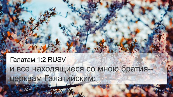 Галатам 1:2 RUSV 4K Wallpaper - и все находящиеся со мною - 4K Wallpaper Bible Verse