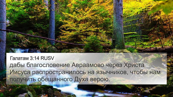 Галатам 3:14 RUSV Bible Verse Image
