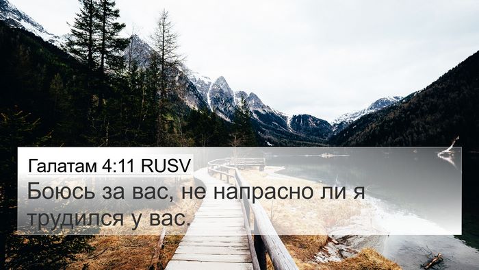 Галатам 4:11 RUSV Bible Verse Image