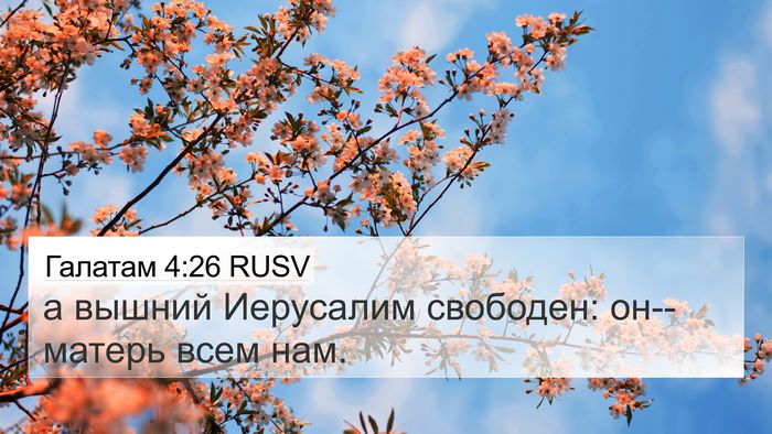 Галатам 4:26 RUSV Bible Verse Image