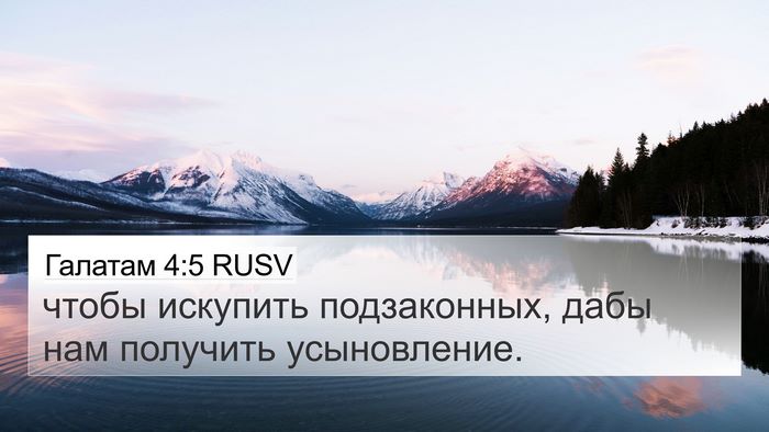 Галатам 4:5 RUSV Bible Verse Image