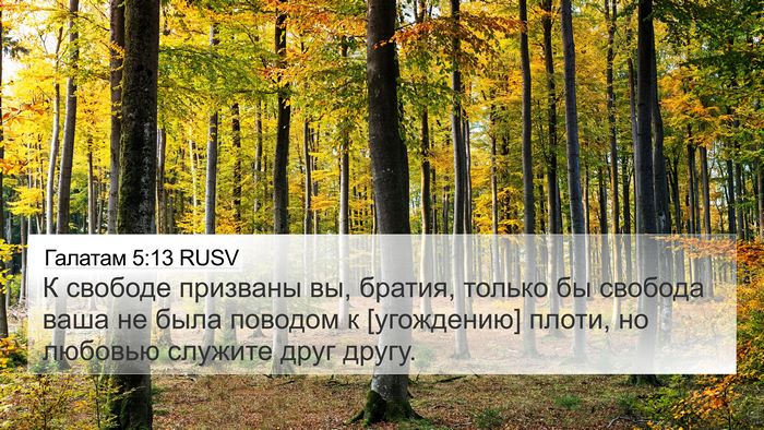 Галатам 5:13 RUSV Bible Verse Image