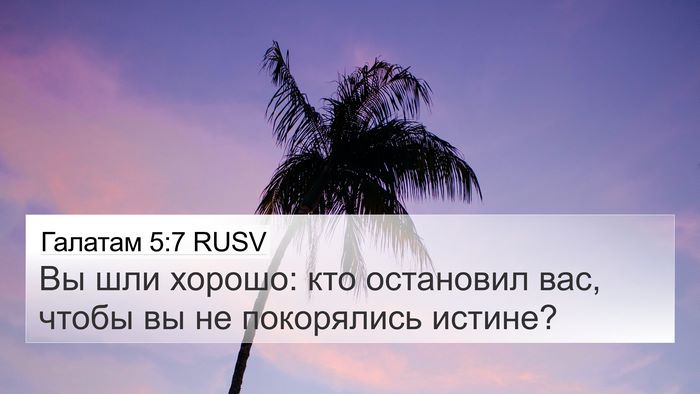 Галатам 5:7 RUSV Bible Verse Image