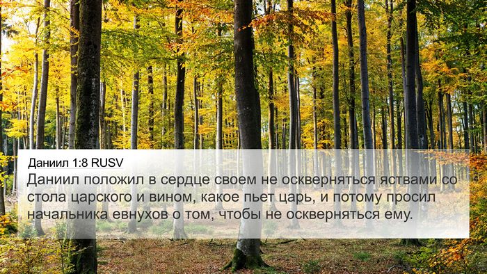 Даниил 1:8 RUSV 4K Wallpaper - Даниил положил в сердце - 4K Wallpaper Bible Verse