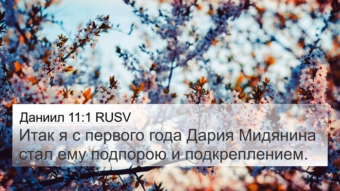 Даниил 11:1 RUSV Bible Verse Image