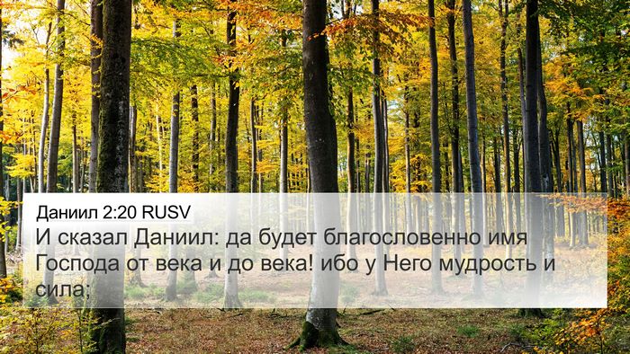 Даниил 2:20 RUSV Bible Verse Image