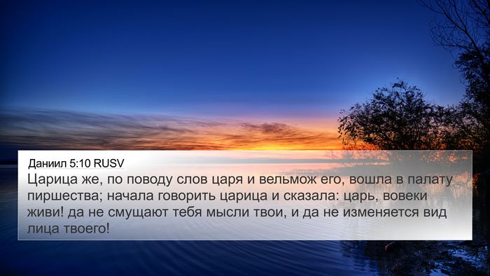 Даниил 5:10 RUSV Bible Verse Image