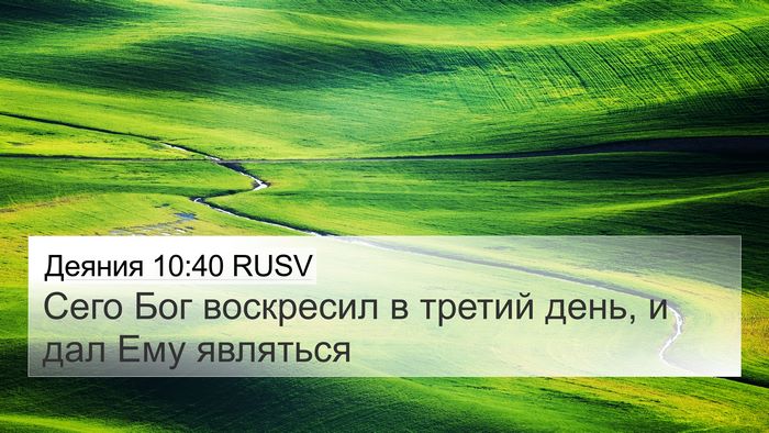 Деяния 10:40 RUSV Bible Verse Image