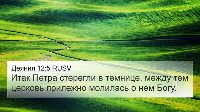 Деяния 12:5 RUSV Bible Verse Image