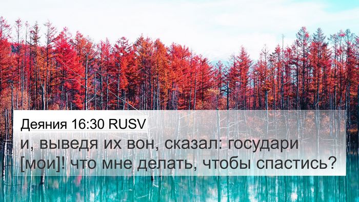 Деяния 16:30 RUSV Bible Verse Image