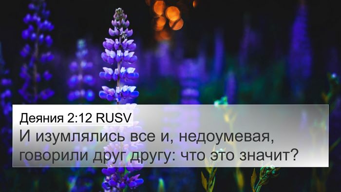 Деяния 2:12 RUSV Bible Verse Image
