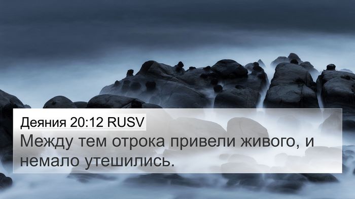 Деяния 20:12 RUSV 4K Wallpaper - Между тем отрока привели - 4K Wallpaper Bible Verse