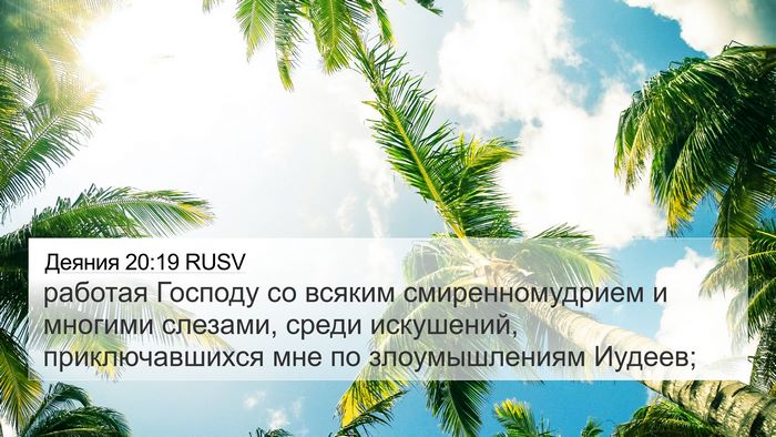 Деяния 20:19 RUSV Bible Verse Image