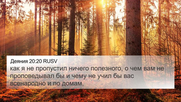 Деяния 20:20 RUSV Bible Verse Image