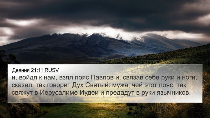 Деяния 21:11 RUSV Bible Verse Image