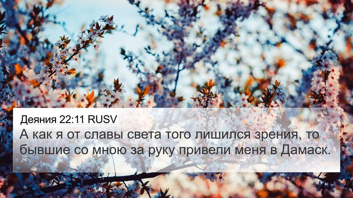 Деяния 22:11 RUSV 4K Wallpaper - А как я от славы света того - 4K Wallpaper Bible Verse