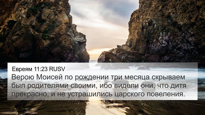 Евреям 11:23 RUSV Bible Verse Image