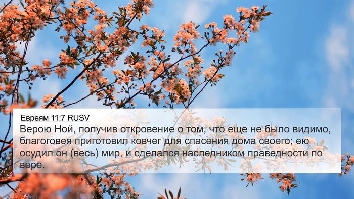 Евреям 11:7 RUSV Bible Verse Image