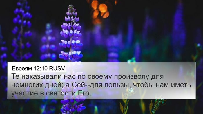 Евреям 12:10 RUSV Bible Verse Image