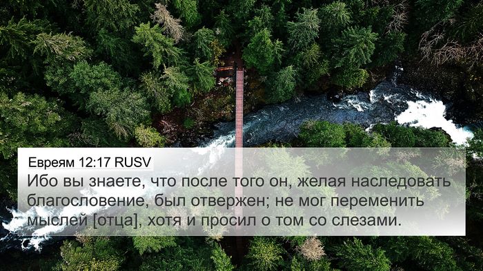 Евреям 12:17 RUSV Bible Verse Image