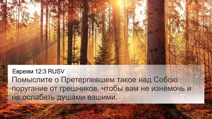 Евреям 12:3 RUSV Bible Verse Image