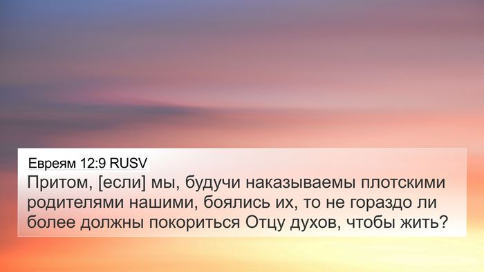 Евреям 12:9 RUSV Bible Verse Image