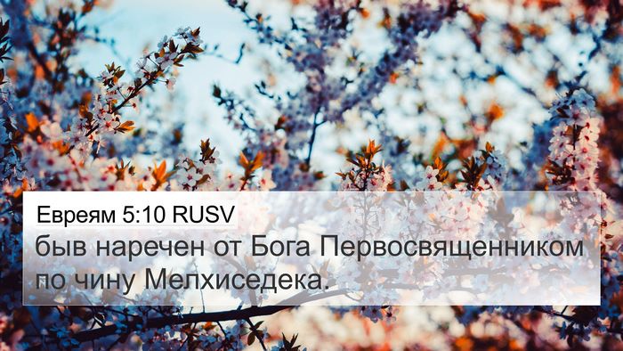 Евреям 5:10 RUSV Bible Verse Image
