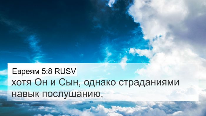 Евреям 5:8 RUSV Bible Verse Image