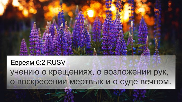 Евреям 6:2 RUSV Bible Verse Image