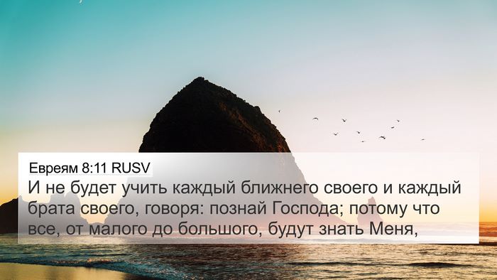 Евреям 8:11 RUSV Bible Verse Image