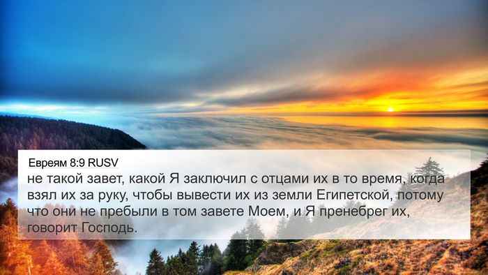 Евреям 8:9 RUSV Bible Verse Image