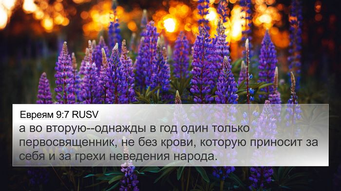 Евреям 9:7 RUSV Bible Verse Image