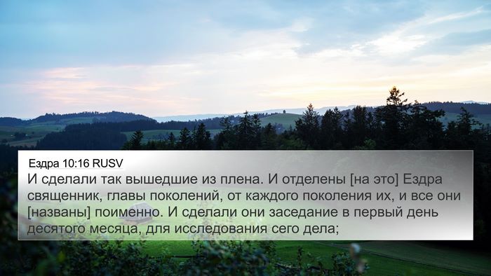 Ездра 10:16 RUSV Bible Verse Image