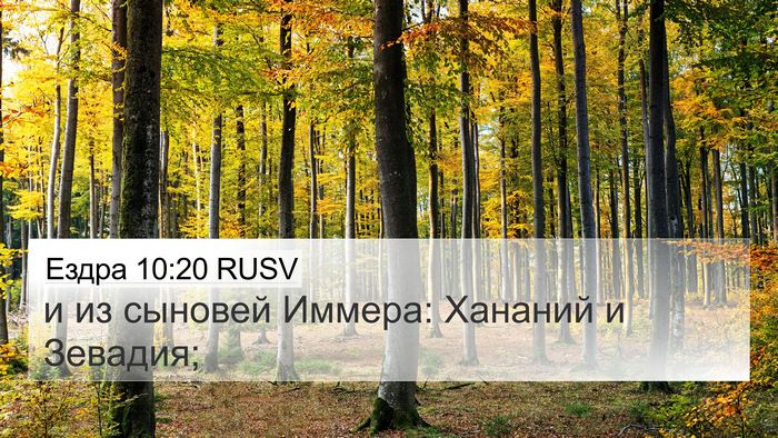 Ездра 10:20 RUSV 4K Wallpaper - и из сыновей Иммера: - 4K Wallpaper Bible Verse