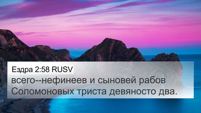 Ездра 2:58 RUSV Bible Verse Image