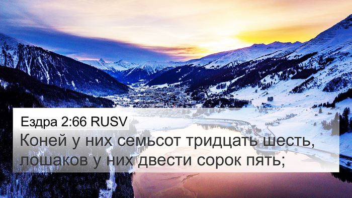 Ездра 2:66 RUSV Bible Verse Image