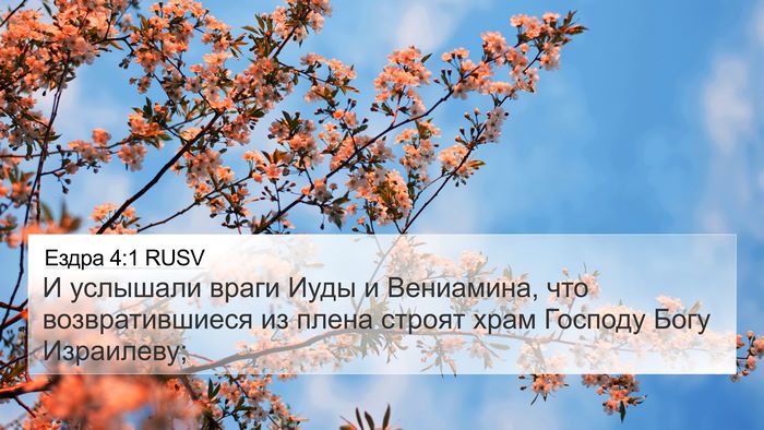 Ездра 4:1 RUSV Bible Verse Image