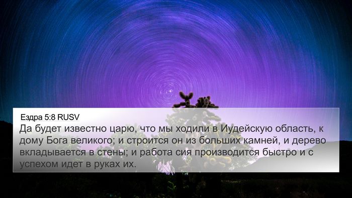 Ездра 5:8 RUSV Bible Verse Image