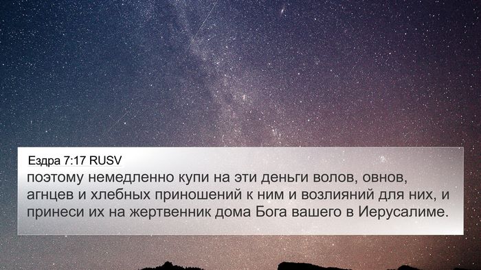 Ездра 7:17 RUSV 4K Wallpaper - поэтому немедленно купи на - 4K Wallpaper Bible Verse