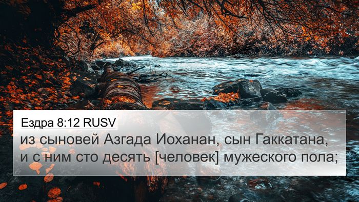 Ездра 8:12 RUSV 4K Wallpaper - из сыновей Азгада Иоханан, - 4K Wallpaper Bible Verse