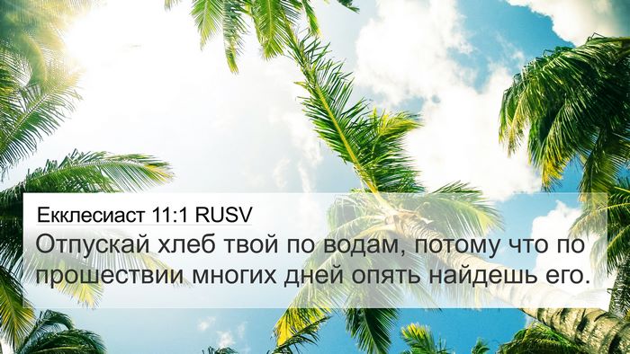 Екклесиаст 11:1 RUSV Bible Verse Image