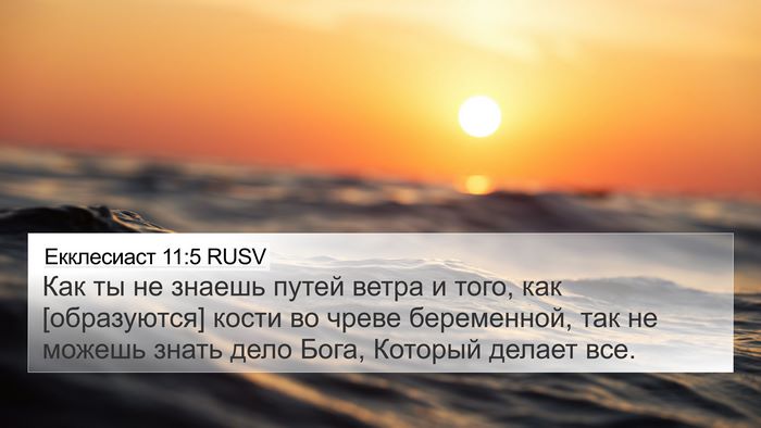 Екклесиаст 11:5 RUSV Bible Verse Image