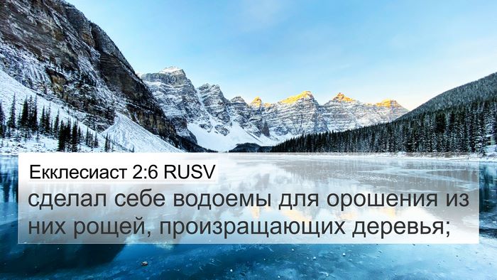 Екклесиаст 2:6 RUSV 4K Wallpaper - сделал себе водоемы для - 4K Wallpaper Bible Verse