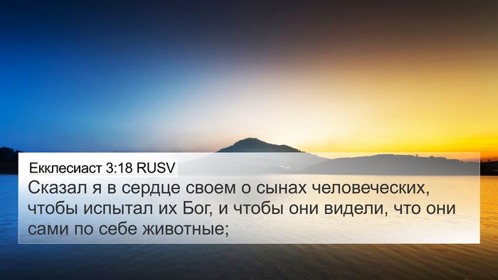 Екклесиаст 3:18 RUSV 4K Wallpaper - Сказал я в сердце своем о - 4K Wallpaper Bible Verse